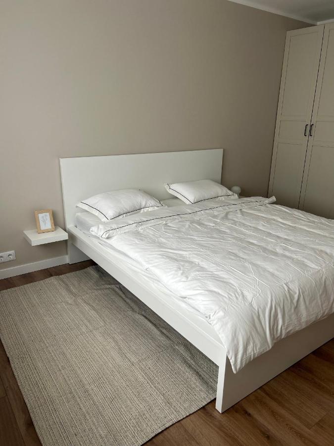 Skandi Appartments In Saldus City Center Exteriér fotografie